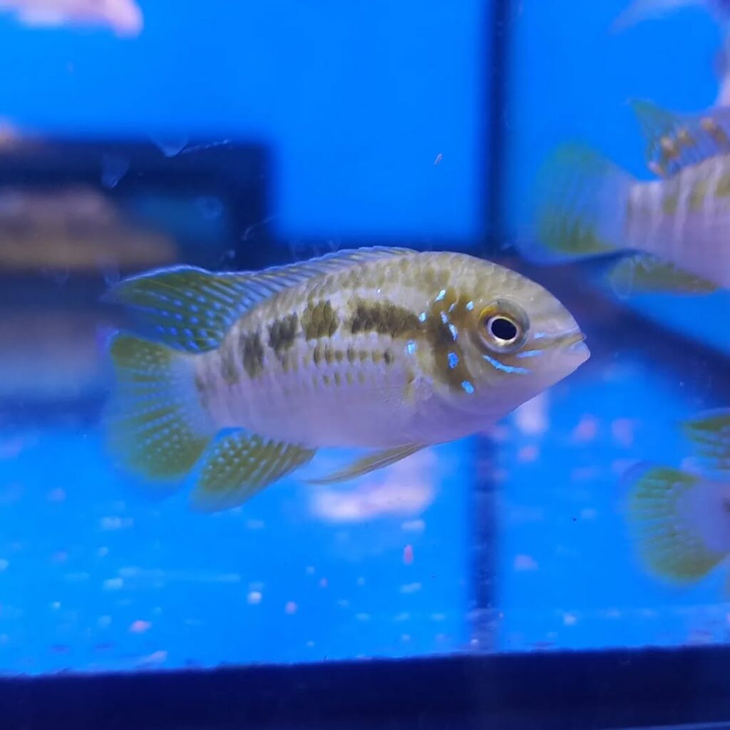 Snapinst.app_353878635_120228274428532_5742140258898839257_n_1080