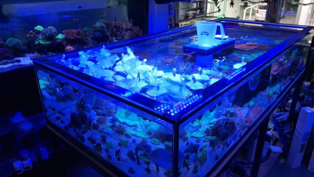 Snapinst.app_469206816_1294835008086434_121478286664782736_n_1080